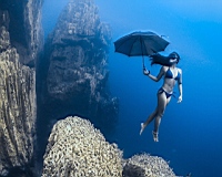 Underwater-Umbrella.jpg